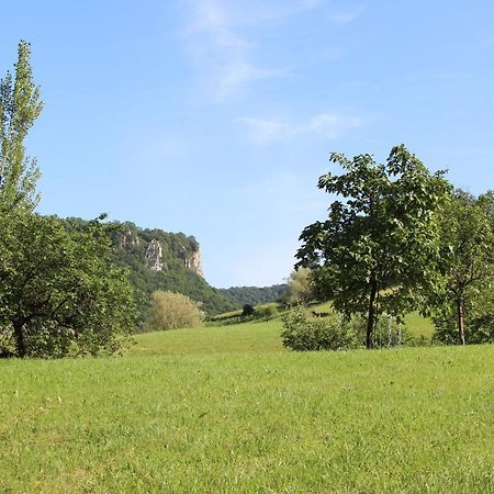 Domaine De Bellevue Gite Du Mont Poupet Marnoz Экстерьер фото