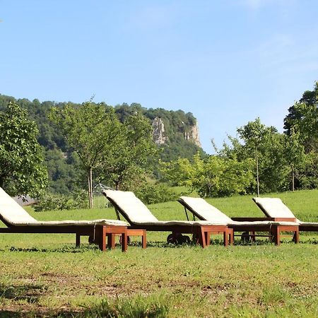 Domaine De Bellevue Gite Du Mont Poupet Marnoz Экстерьер фото