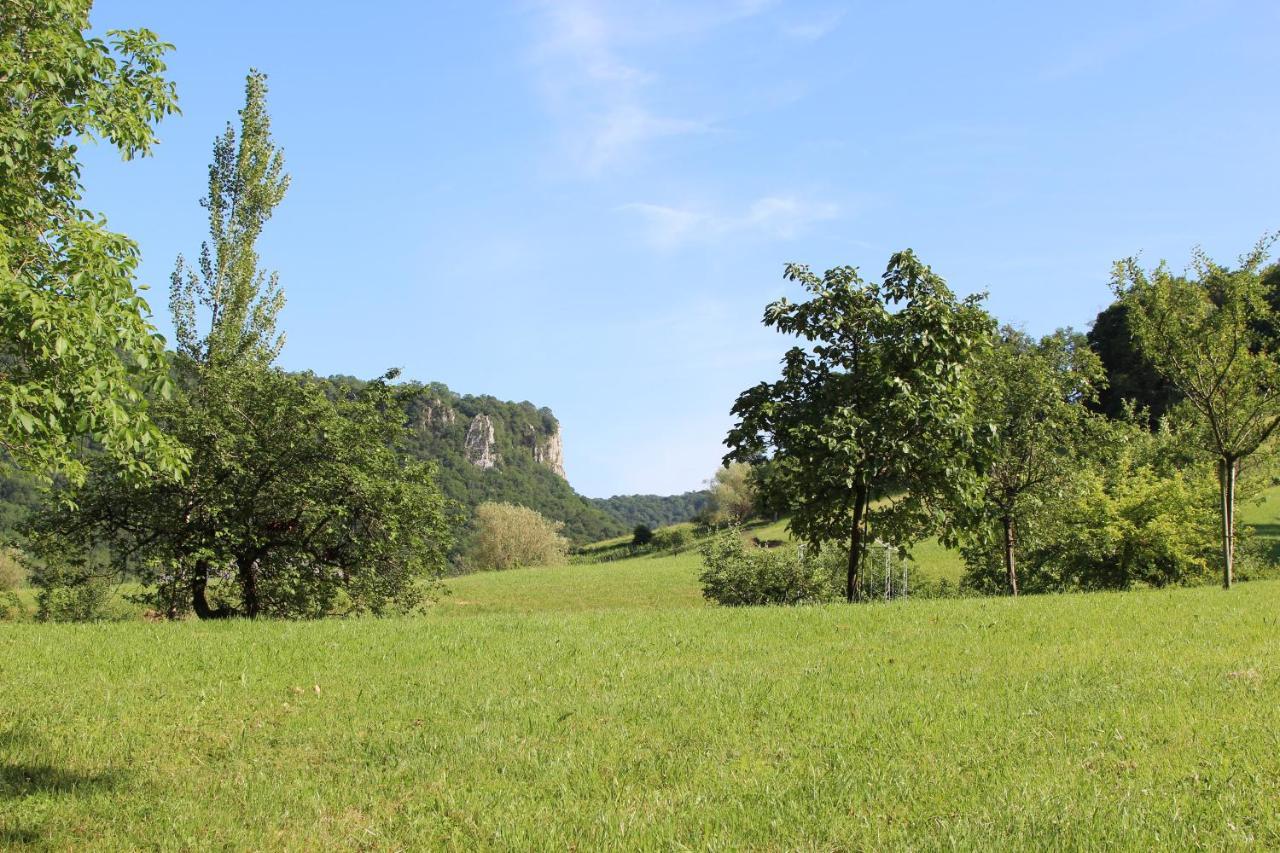 Domaine De Bellevue Gite Du Mont Poupet Marnoz Экстерьер фото