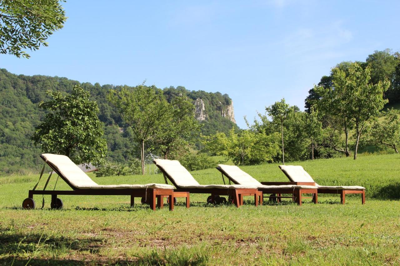 Domaine De Bellevue Gite Du Mont Poupet Marnoz Экстерьер фото
